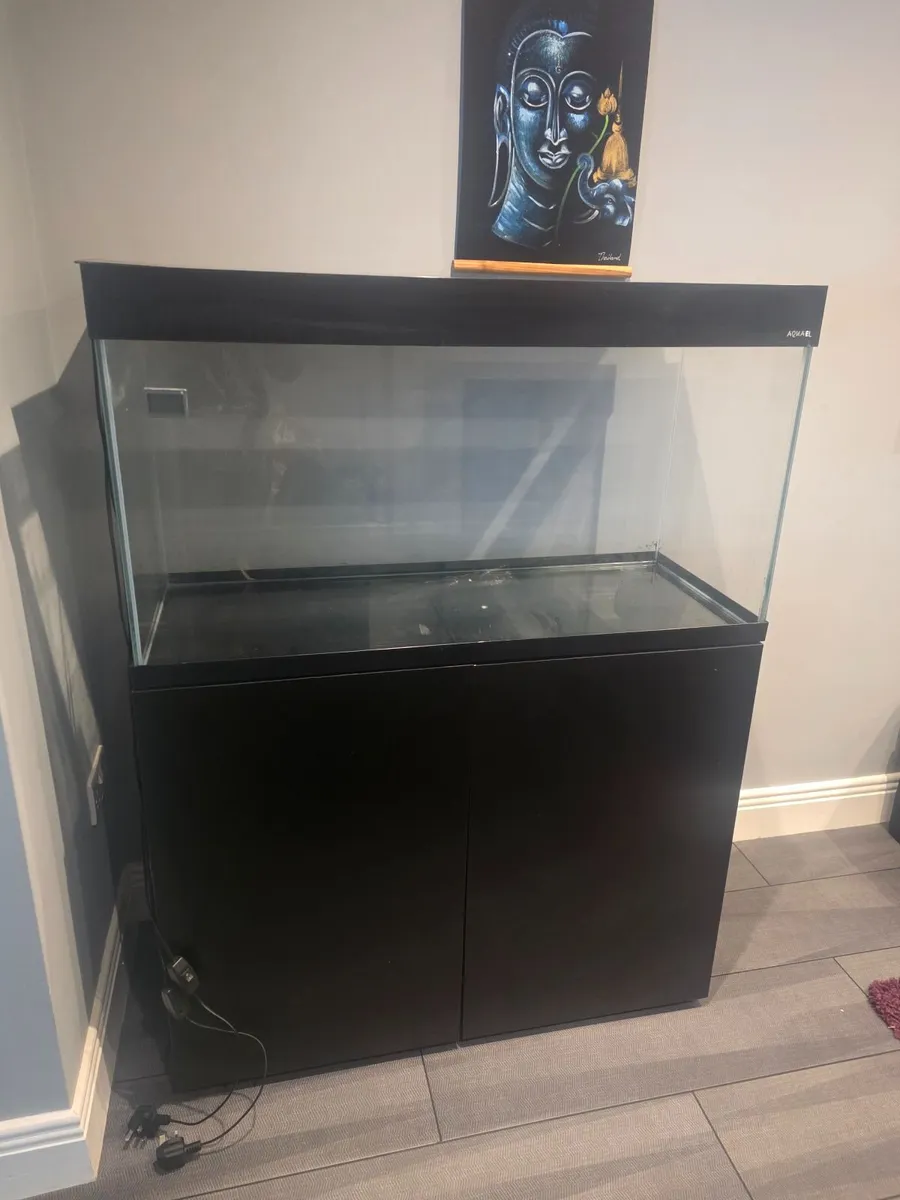 Fish tank - Image 4