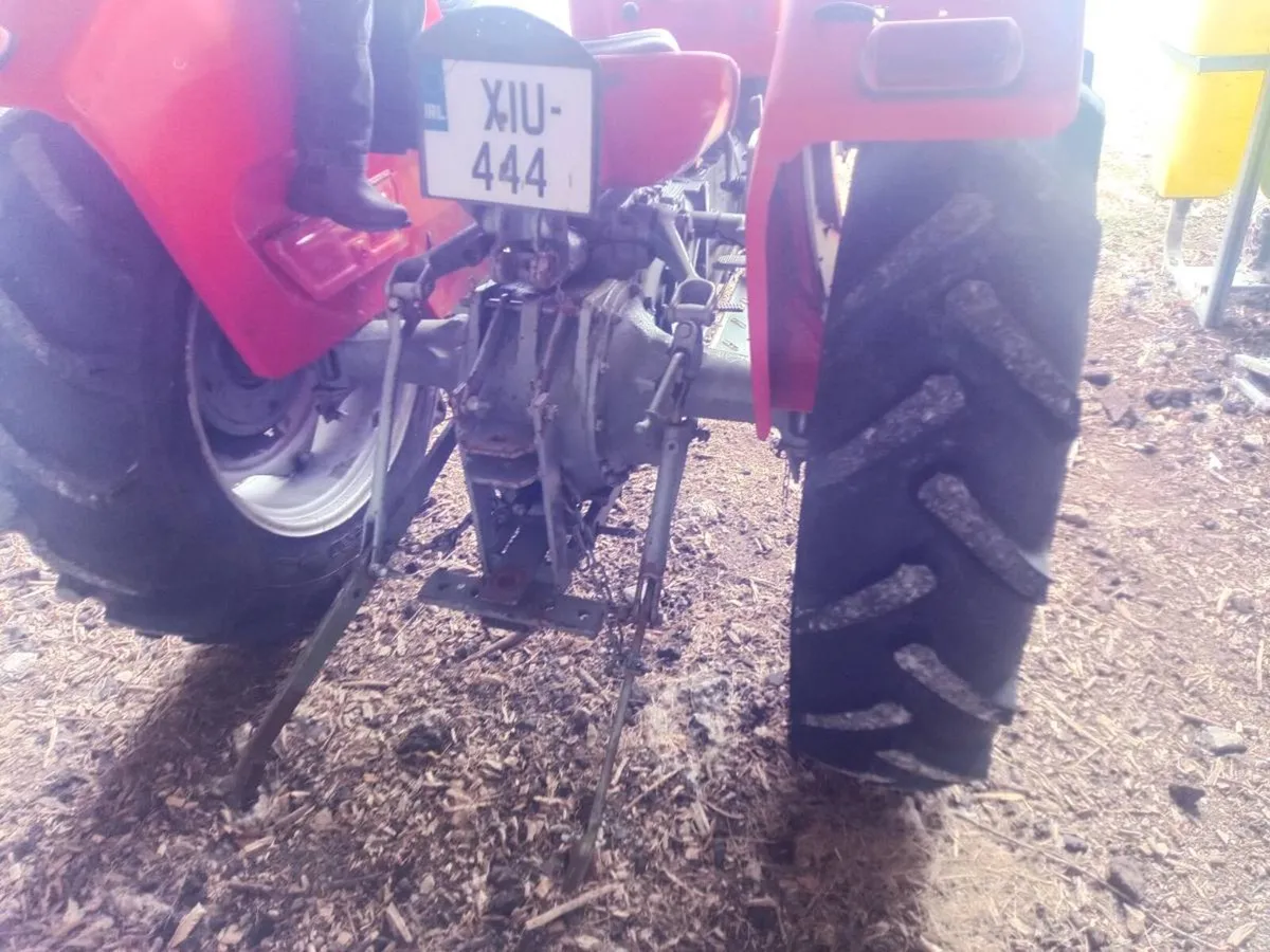MF 135 - Image 3