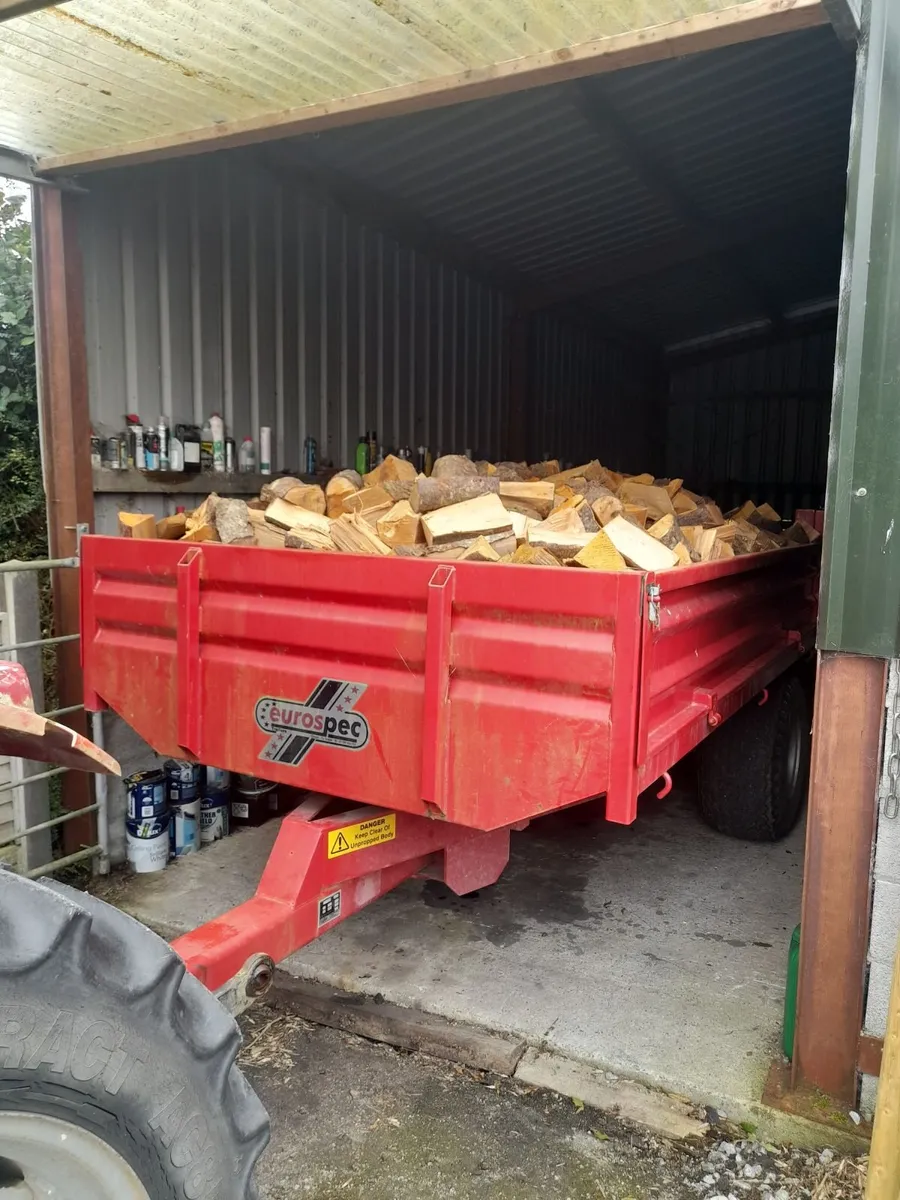 Firewood - Image 1