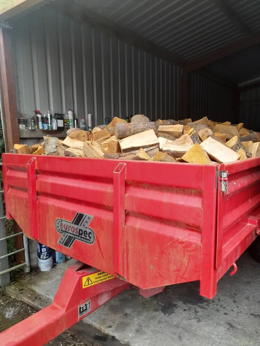 Firewood - Image 2