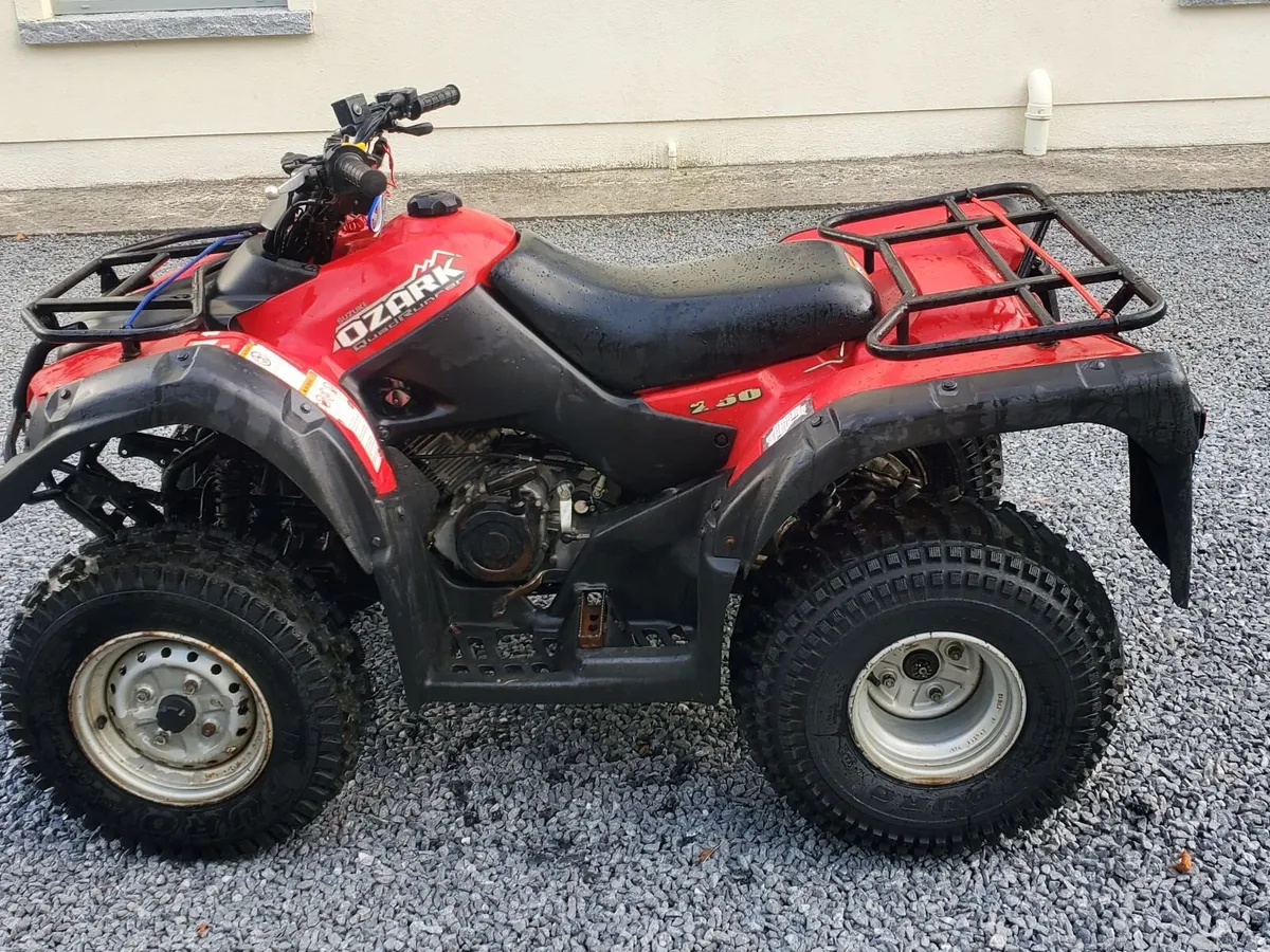 Suzuki Ozark 250  Quad Bike - Image 1