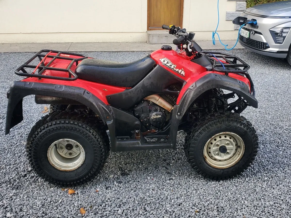 Suzuki Ozark 250  Quad Bike - Image 3