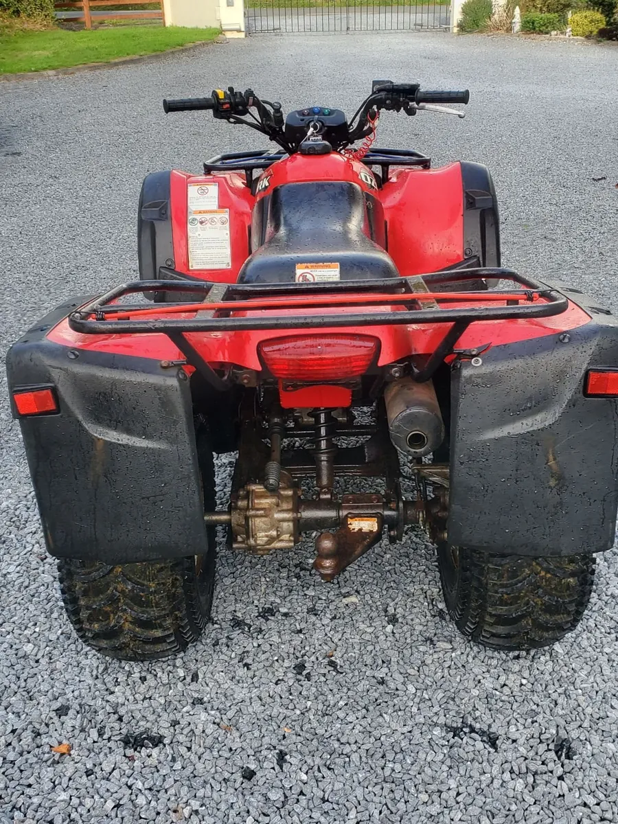 Suzuki Ozark 250  Quad Bike - Image 2