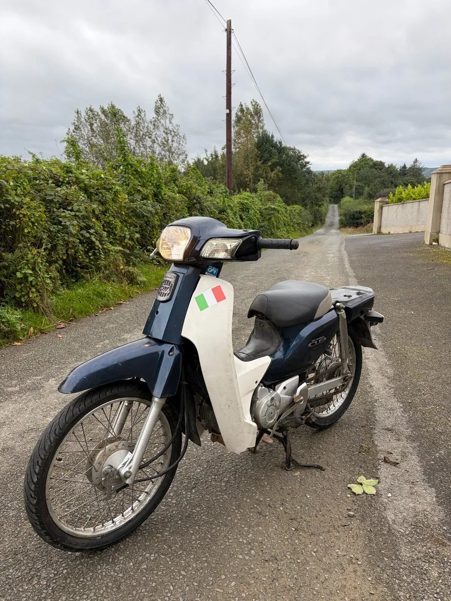 Honda 50 super cub - Image 2