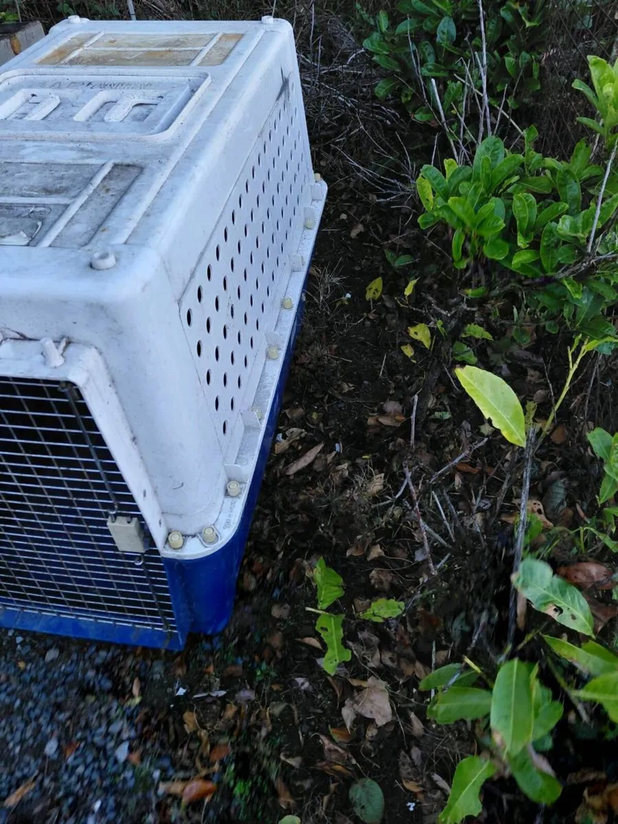 dog crate - Image 3