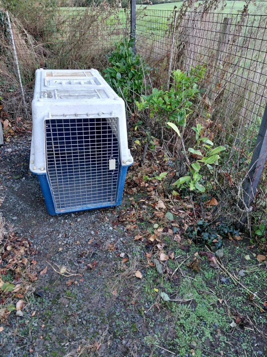 dog crate - Image 1