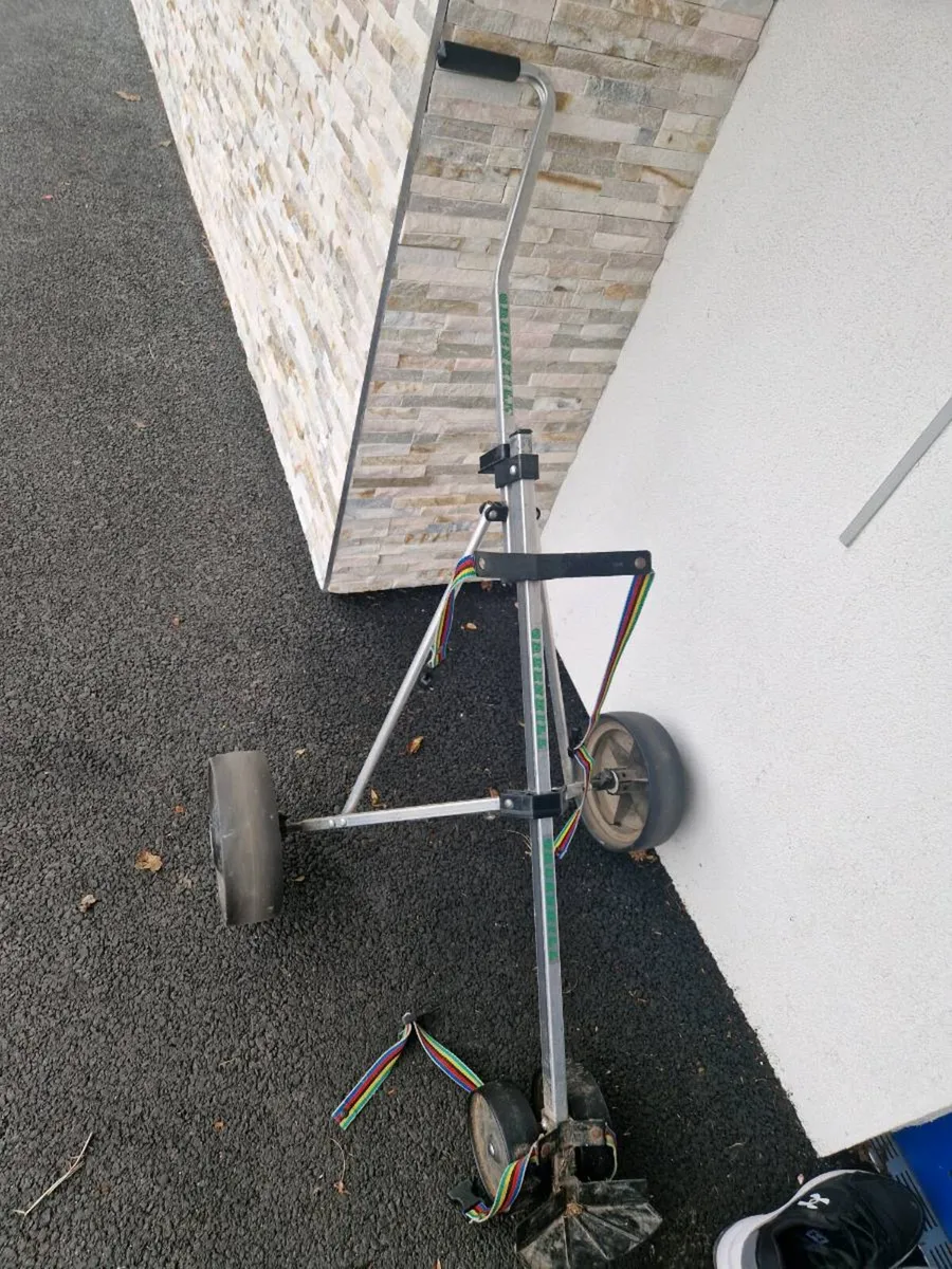 Golf buggy - Image 1