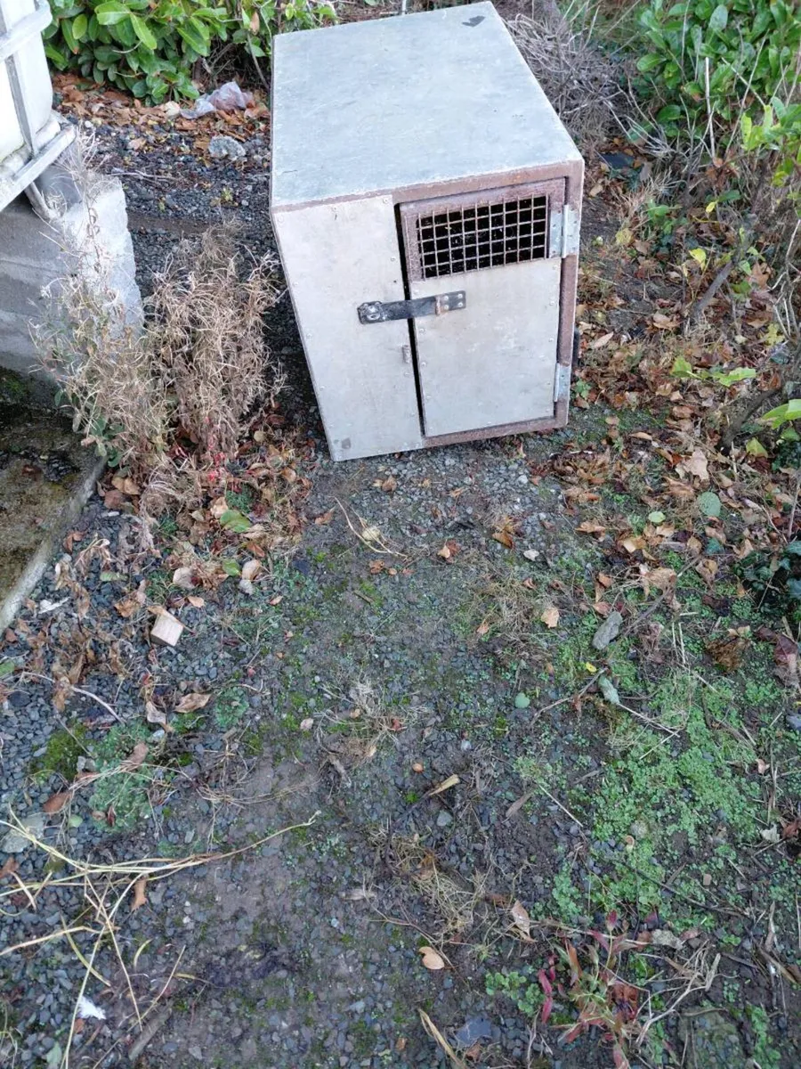 dog box/carrier - Image 1