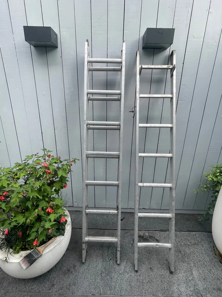 Werner Extension Ladder - Image 2