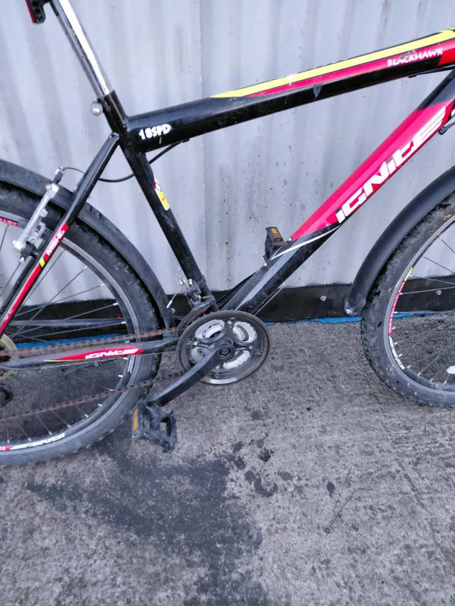 bike - Image 3