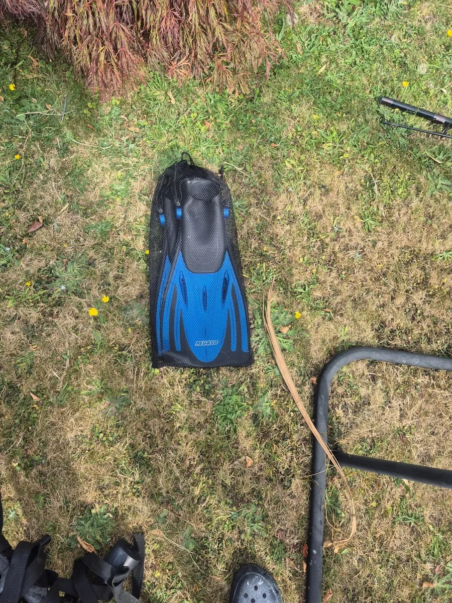 Flippers