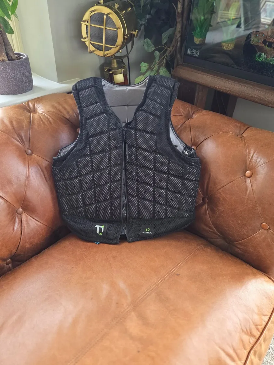 Body protector - Image 3