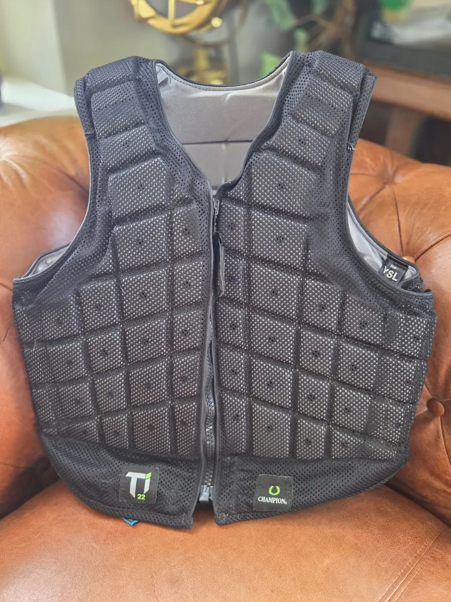 Body protector - Image 4
