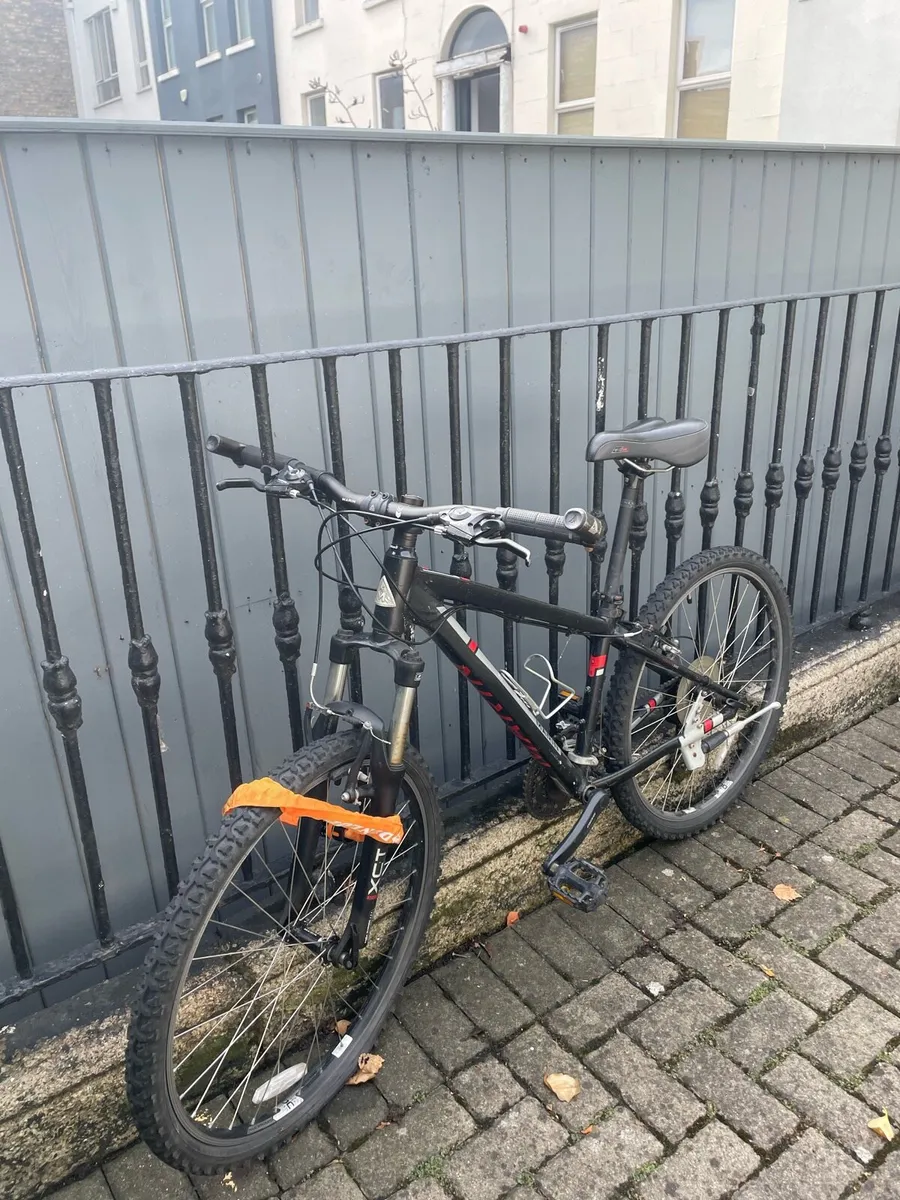 Mountain Bike & Chain - Image 2