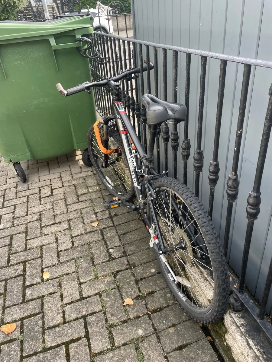 Mountain Bike & Chain - Image 3