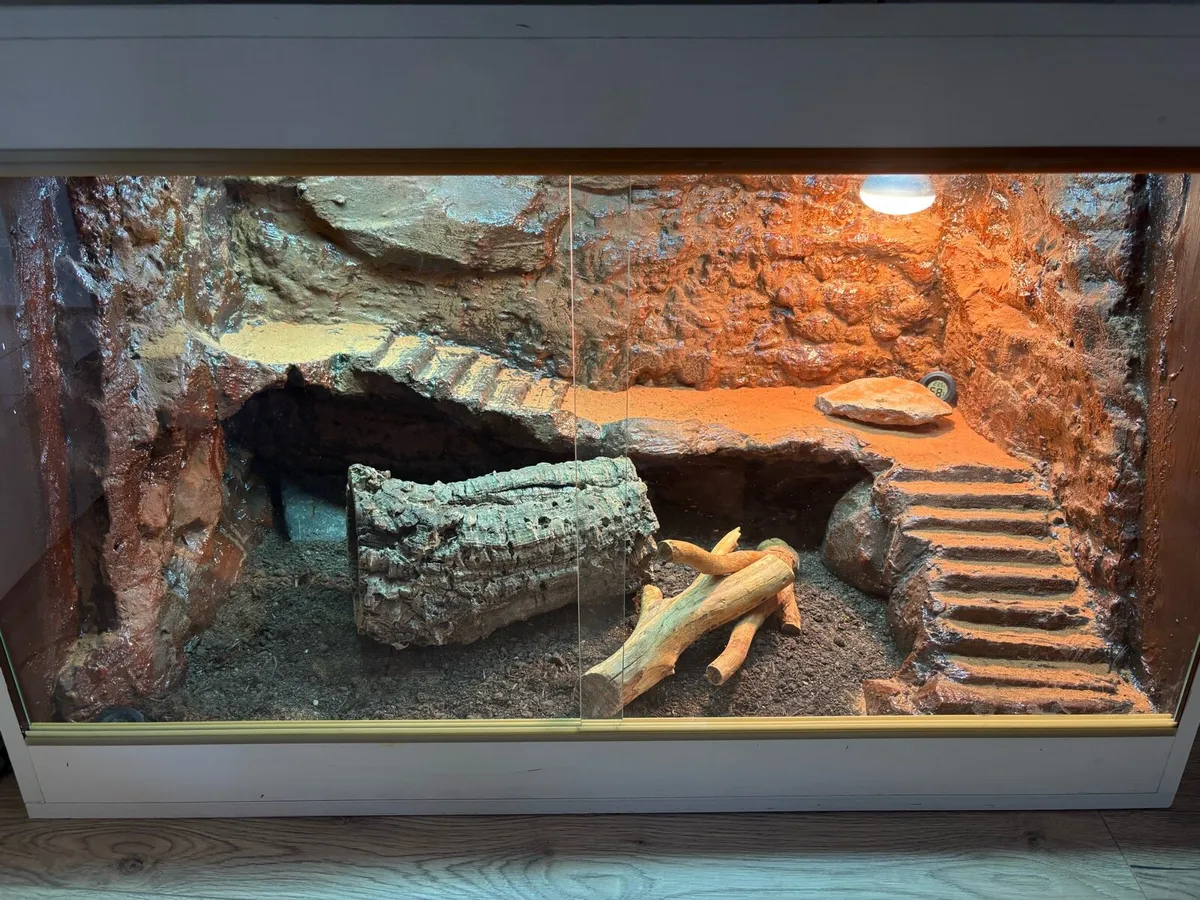 Bearded Dragon Enclosure - Image 1
