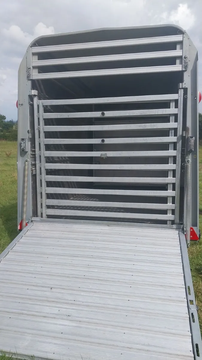Ifor Williams Cattle Box - Image 4