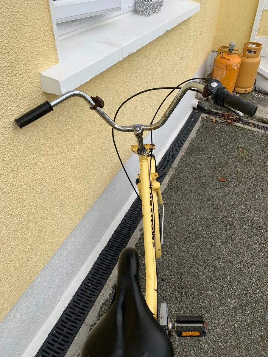 Delivery Bike - Image 3
