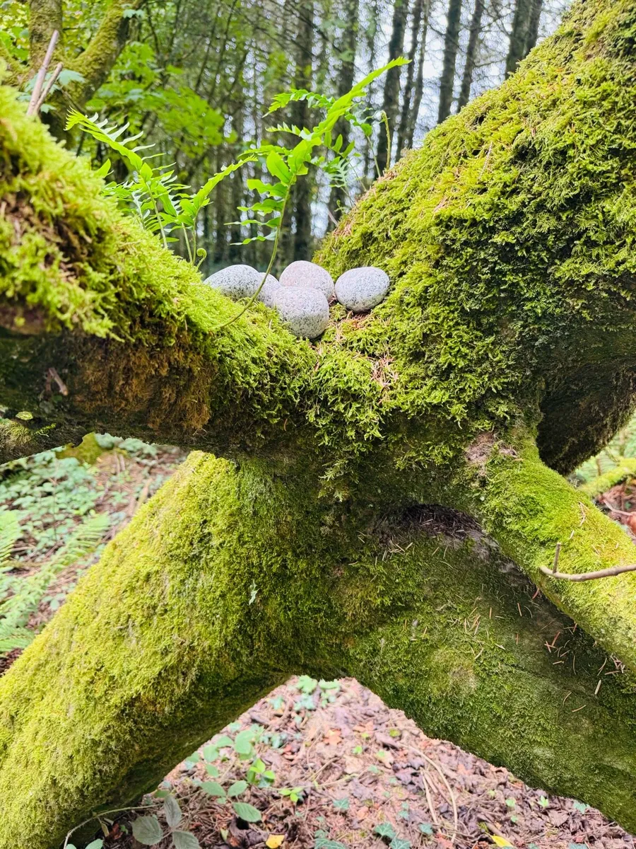 Horticultural Grit - Image 1