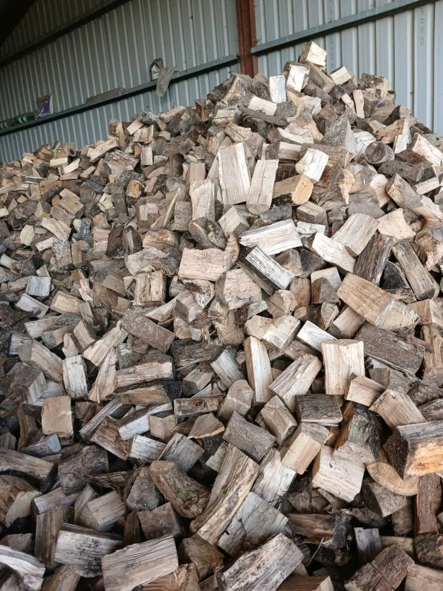 Firewood hardwood - Image 1