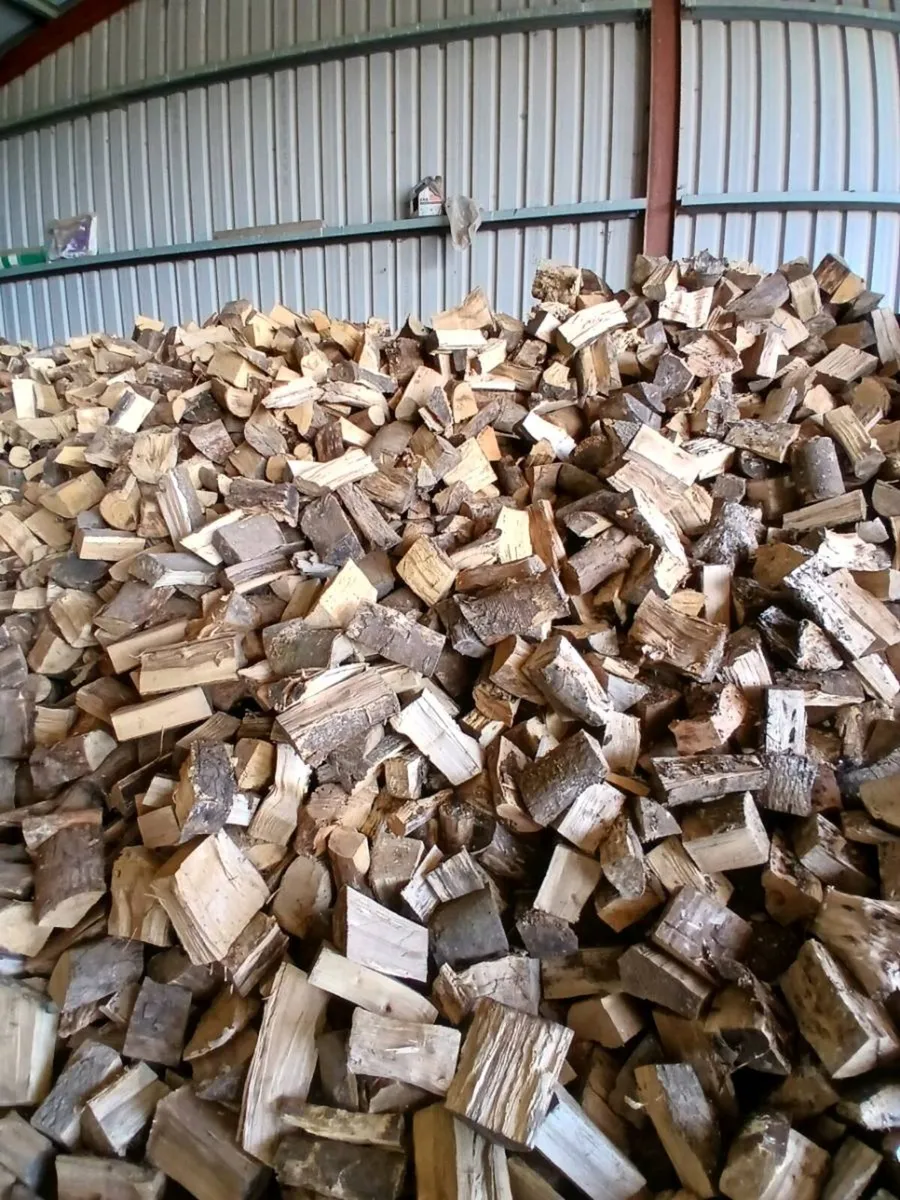 Firewood hardwood - Image 2