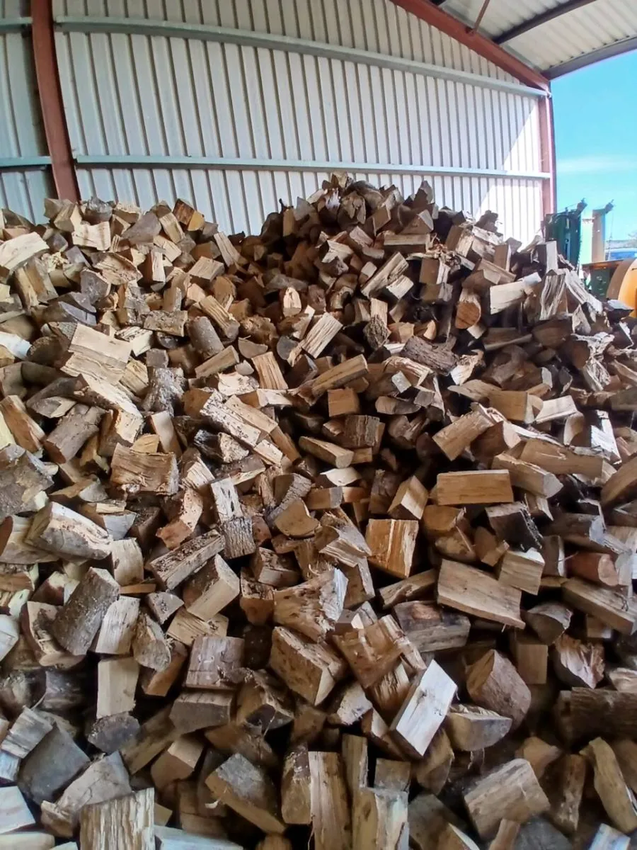 Firewood hardwood - Image 3