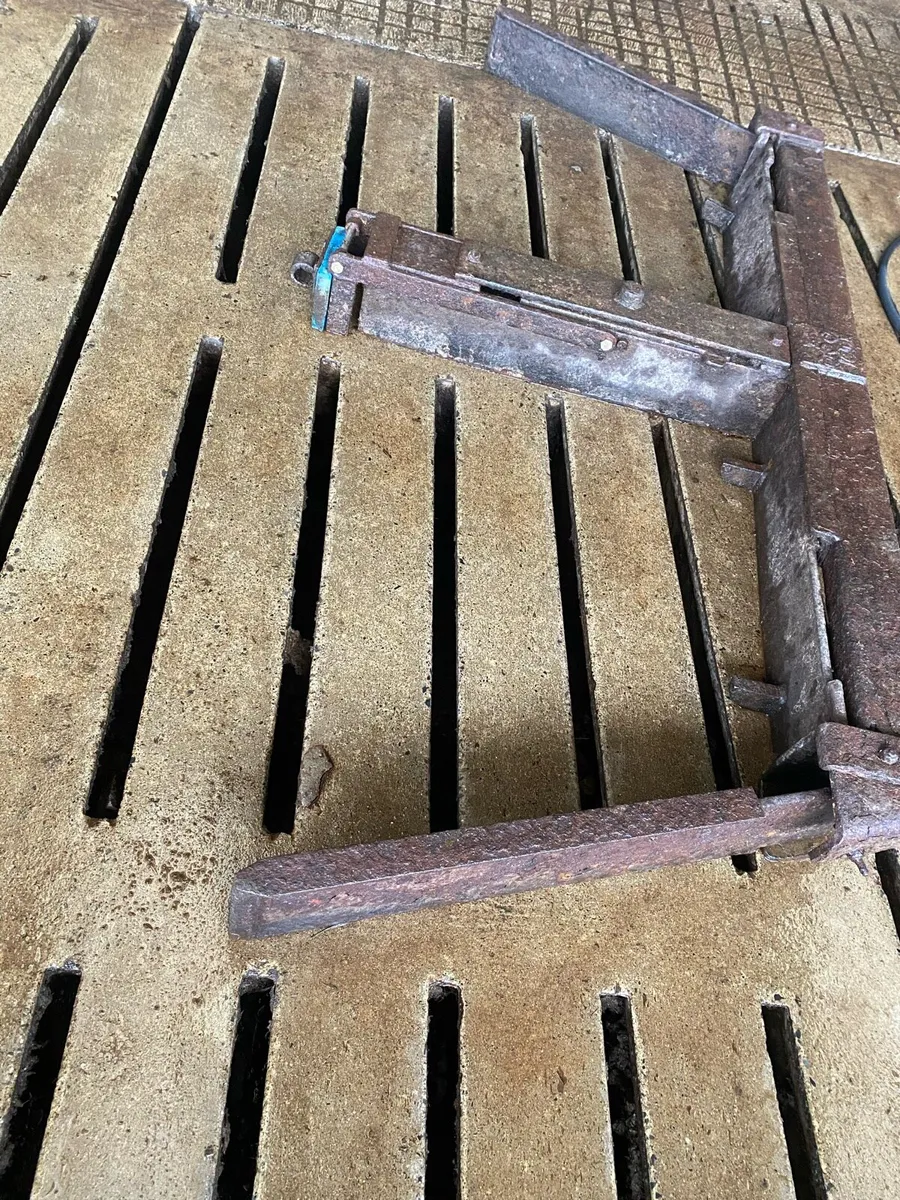 Dairymaster automatic scrapers - Image 2