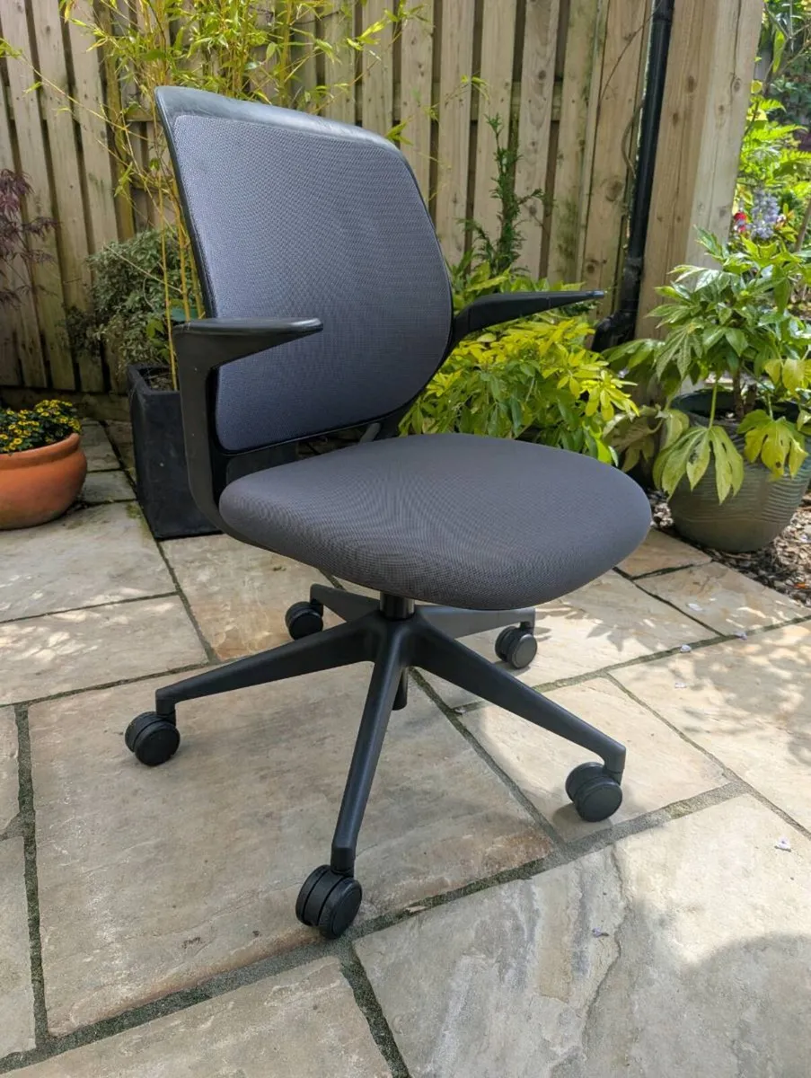 Ergonomic office chair - Image 1