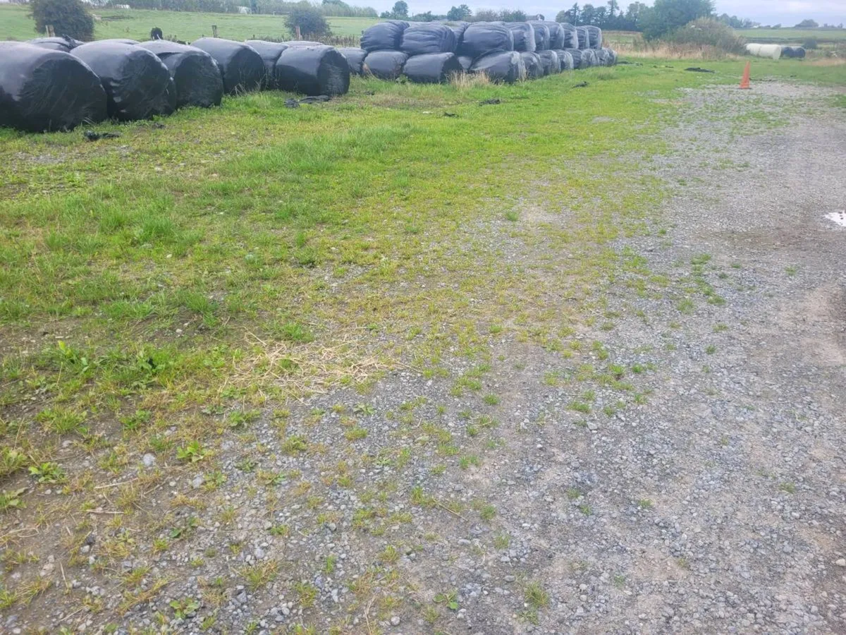Silage - Image 2