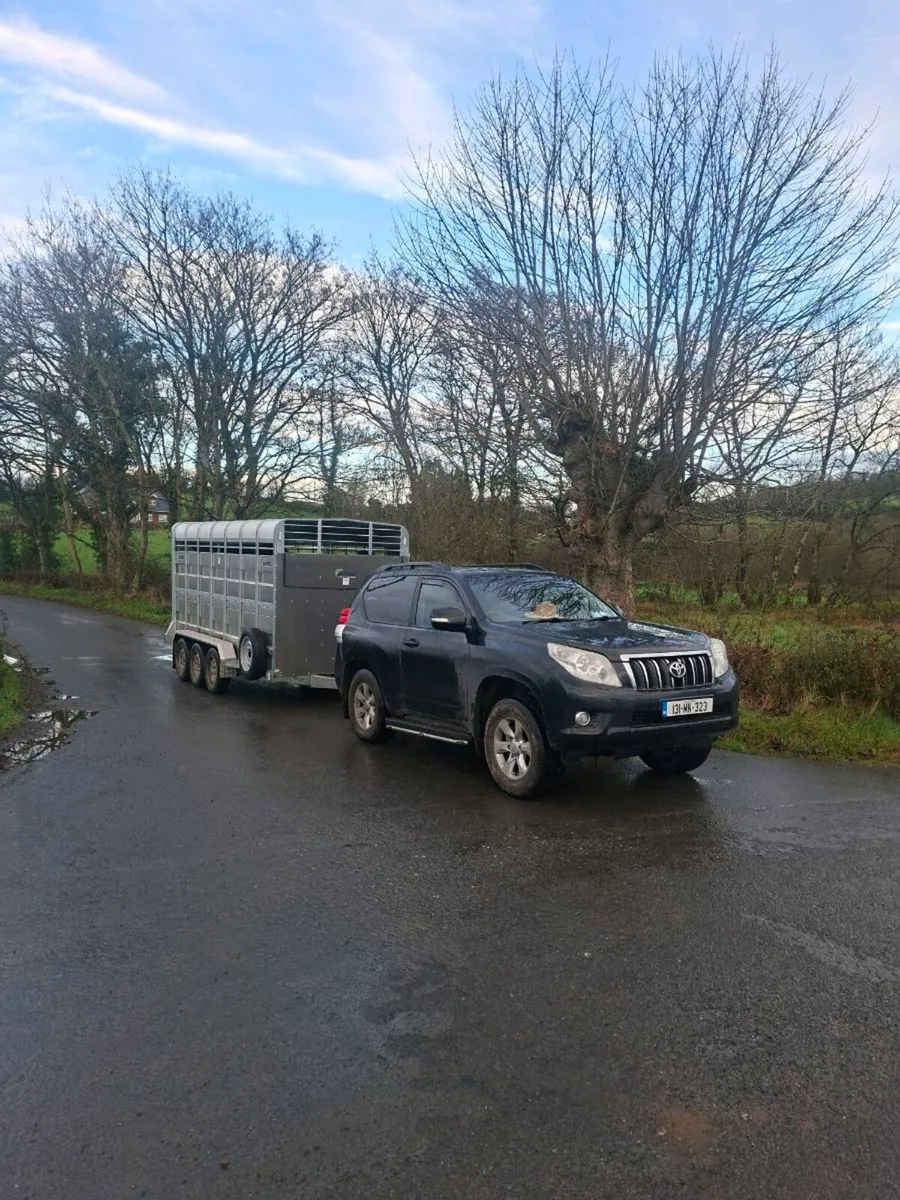 Livestock haulage