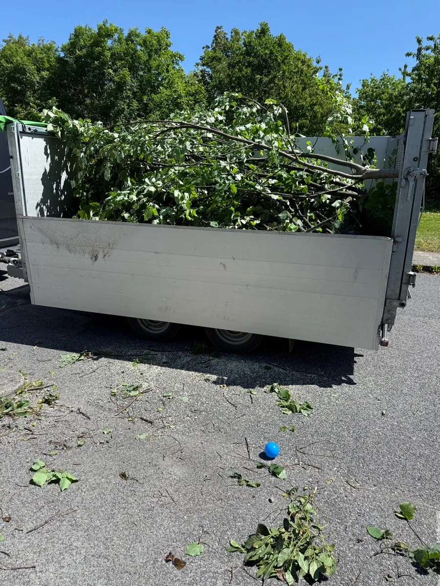 Tipper & Tilt bed trailer - Image 2