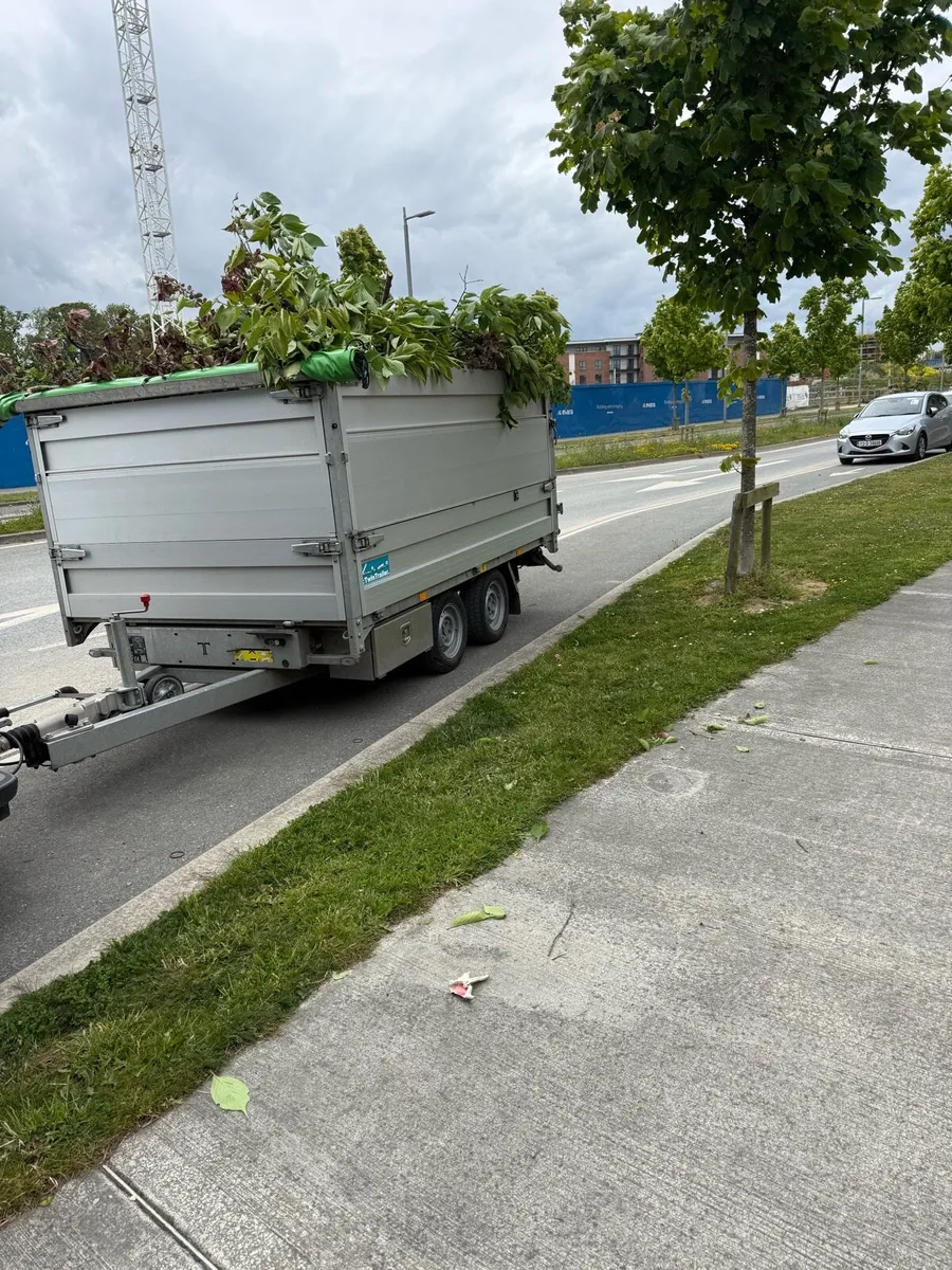 Tipper & Tilt bed trailer - Image 4
