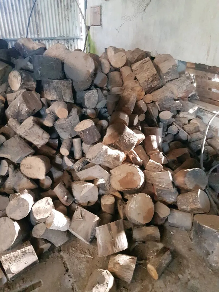 Firewood - Image 1