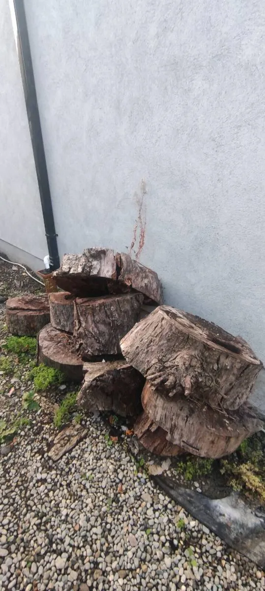 Free Timber