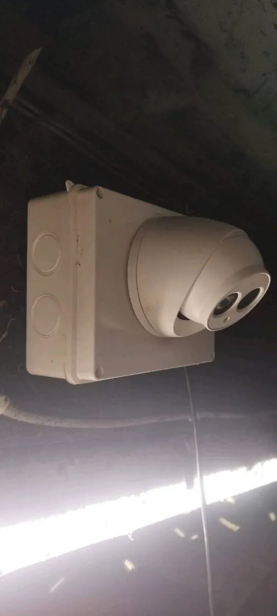 Calving cameras - Image 4