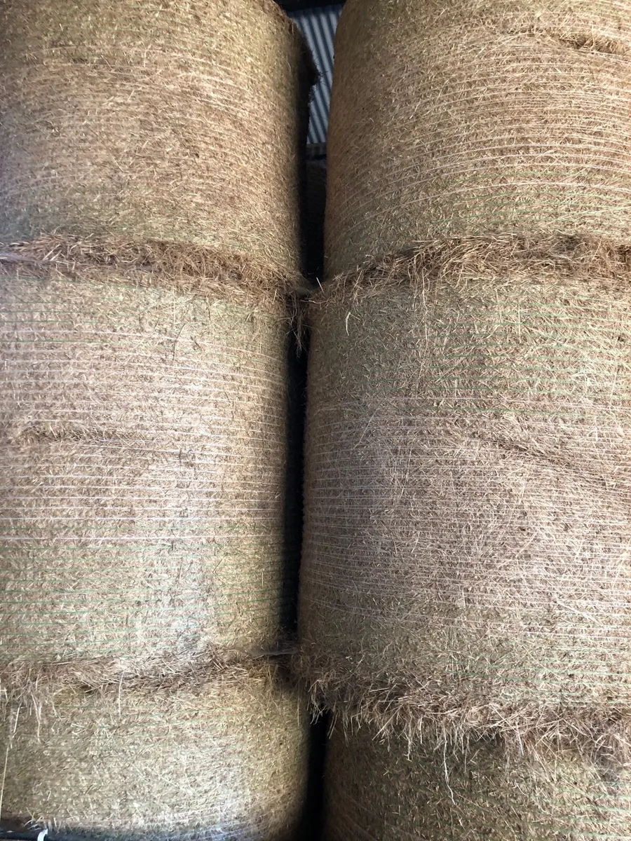 Silage & Hay - Image 1