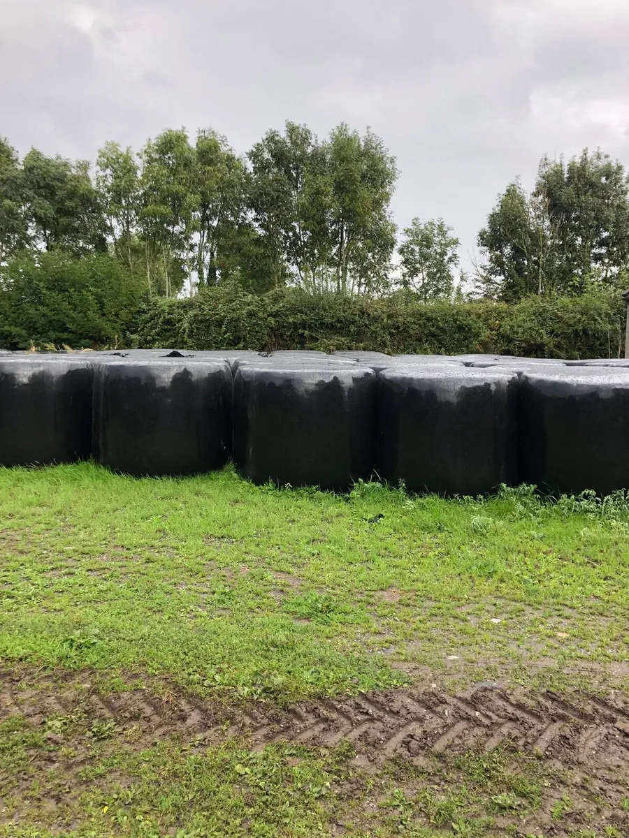 Silage & Hay - Image 2