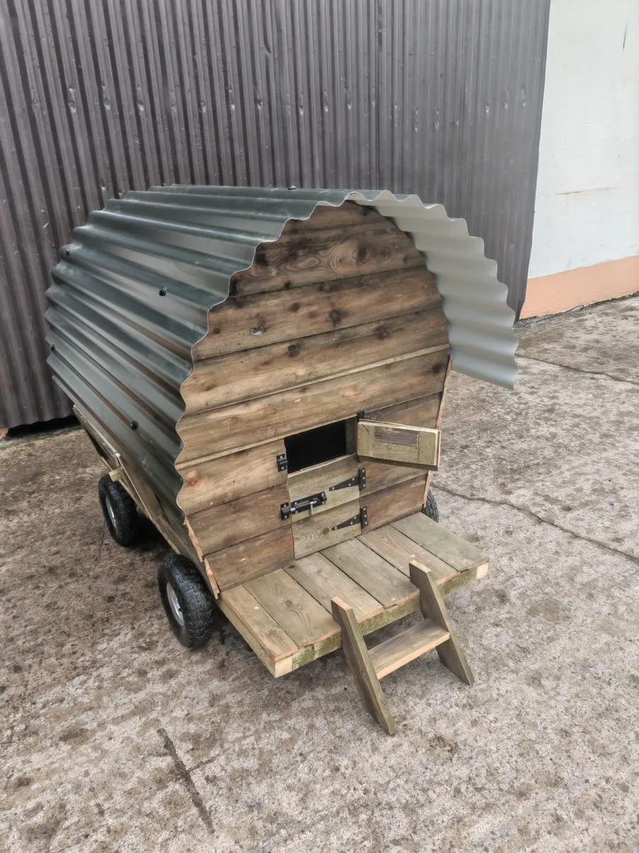 Shepherds hut hen house - Image 4