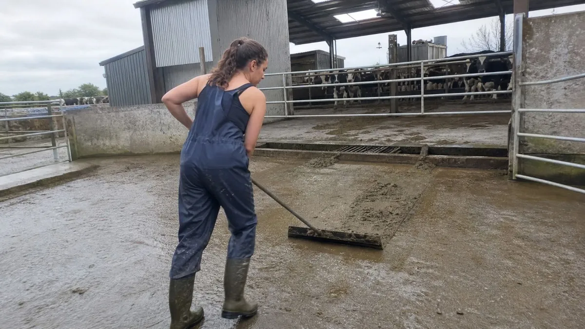 Couple Seeking Long-Term position Dairyfarm - Image 4