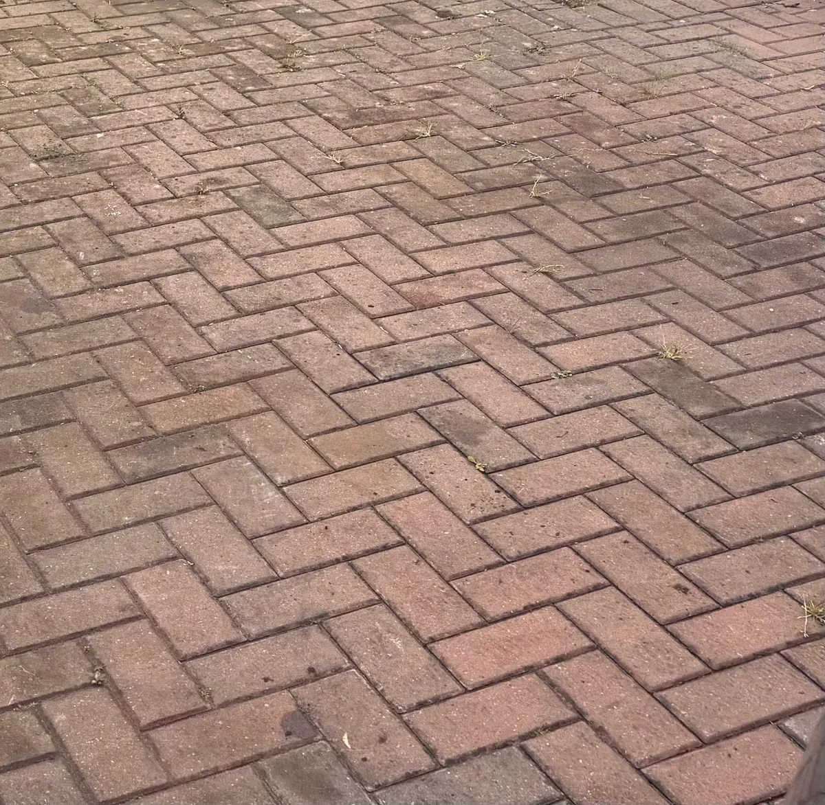 Paving - Image 3