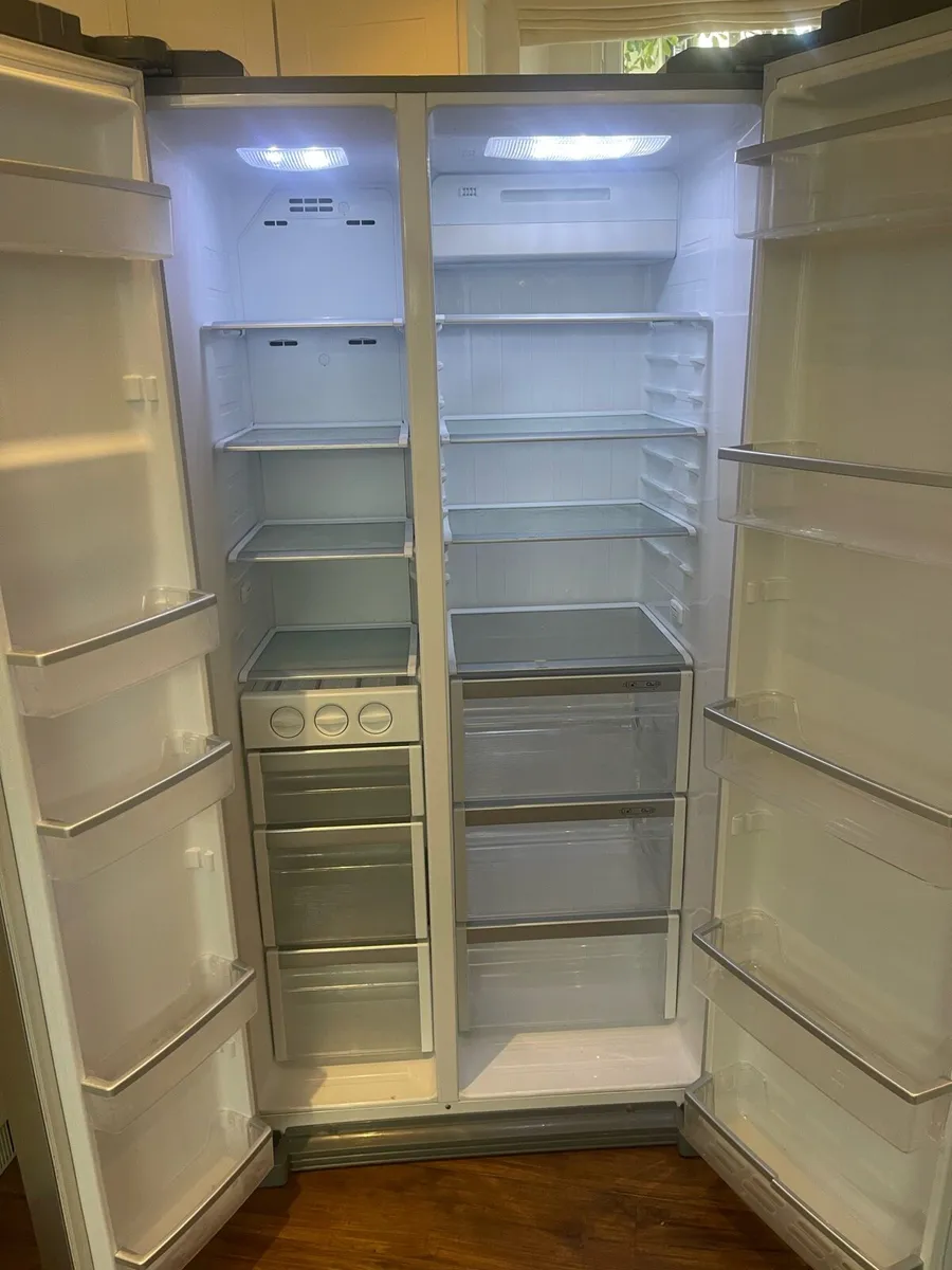 Fisher Paykel American Style Fridge - Image 3