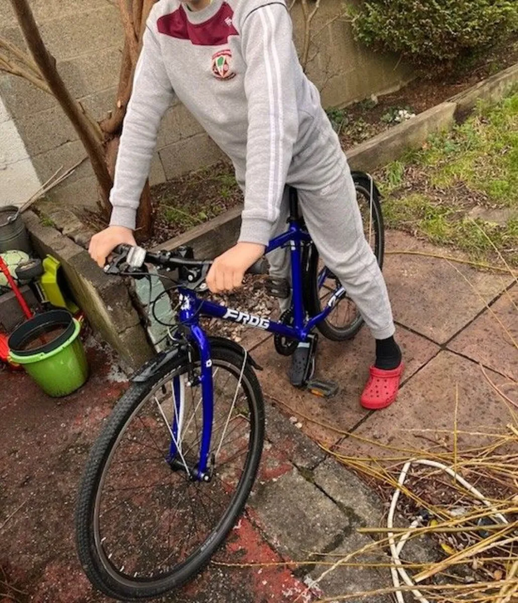 Child's bike - Image 1
