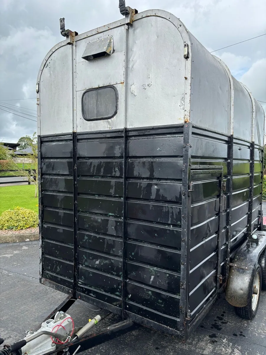 Rice horsebox - Image 3