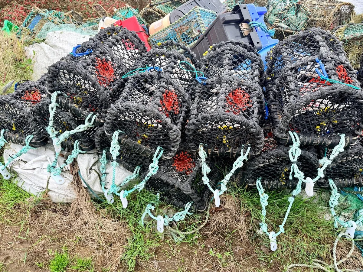Lobster pots - Image 2