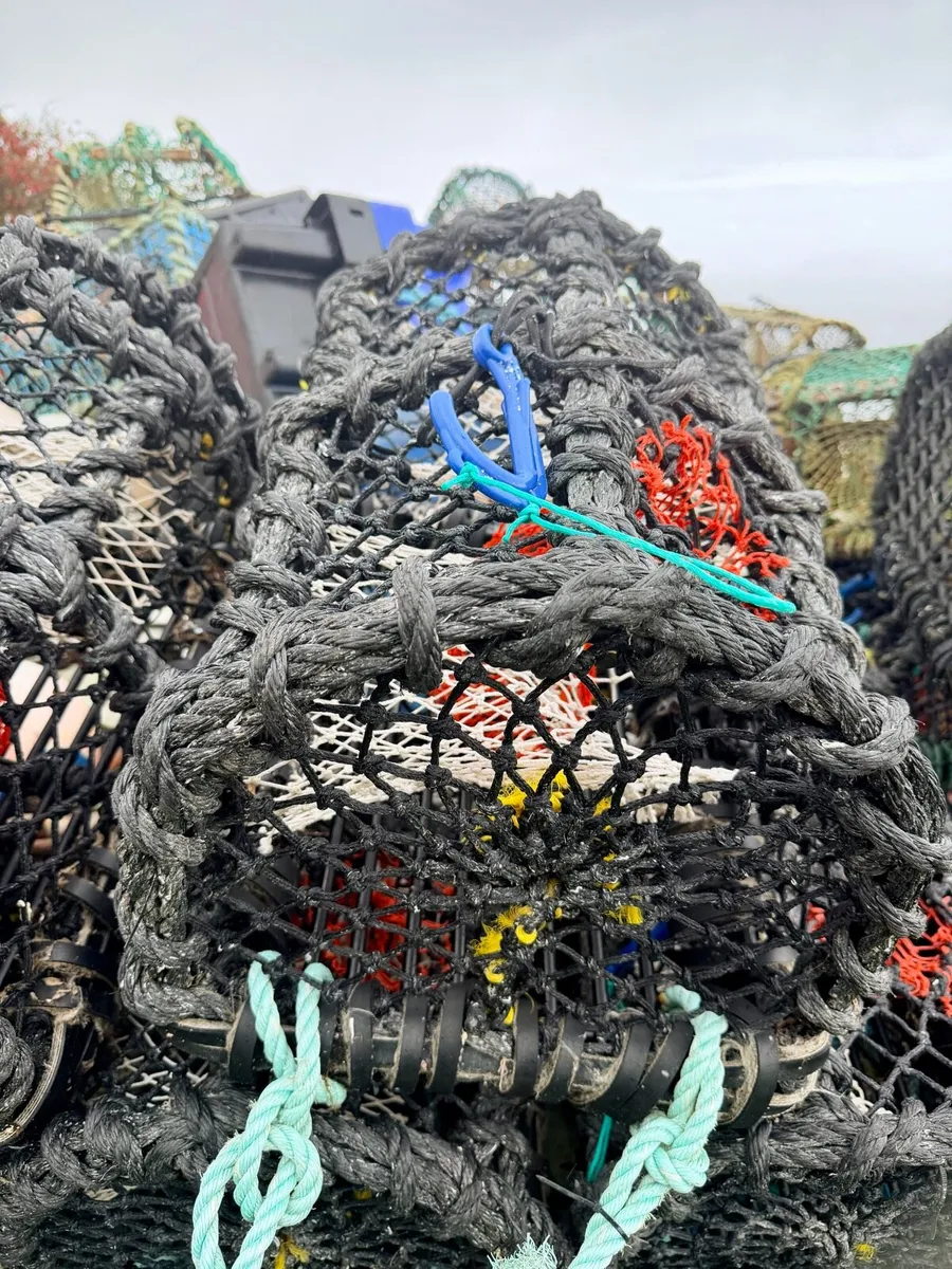 Lobster pots - Image 1