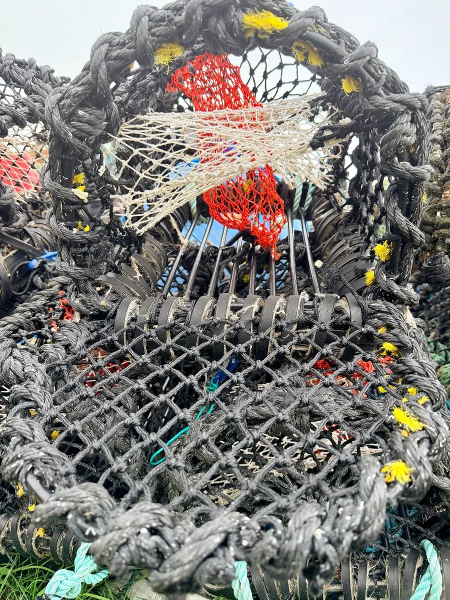 Lobster pots - Image 4