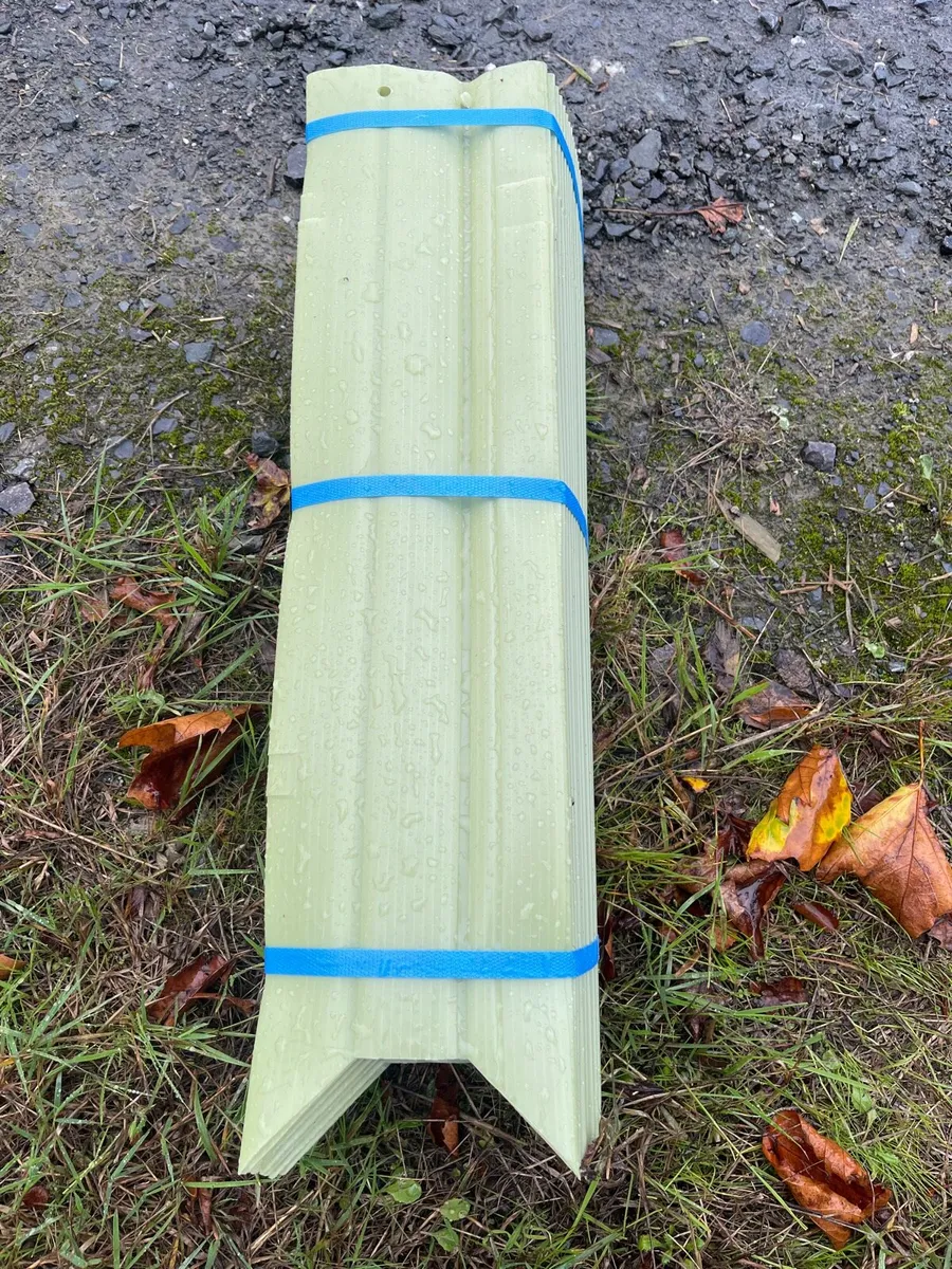 Tree guards - Image 2
