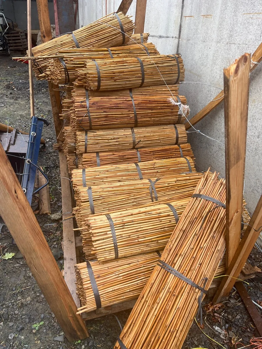 Tree guards - Image 4