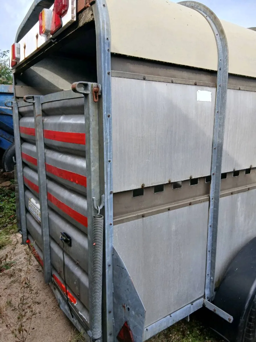 Bateson cattel traler 12 foot by 5 foot - Image 1