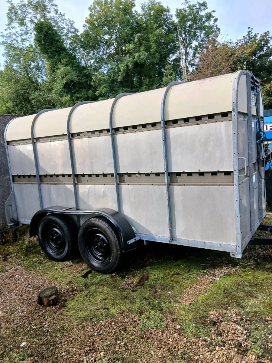 Bateson cattel traler 12 foot by 5 foot - Image 2